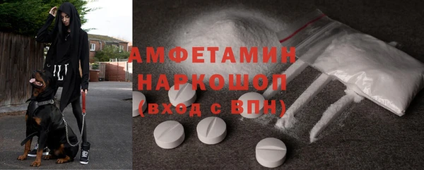 гидра Козловка