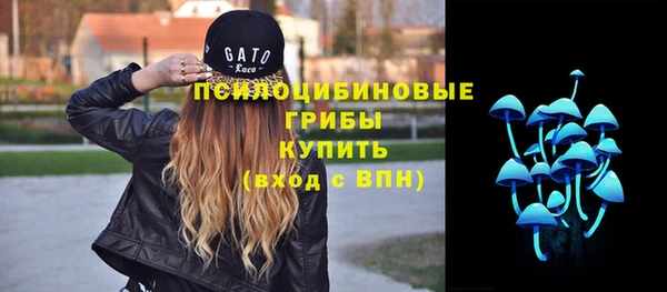 прущие грибы Кодинск