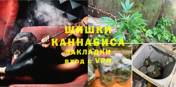 прущие грибы Кодинск
