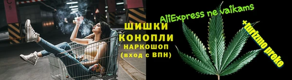 прущие грибы Кодинск