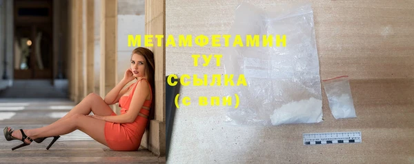 гидра Козловка