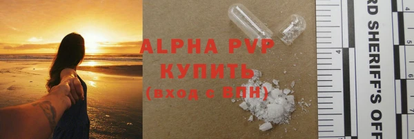 гидра Козловка
