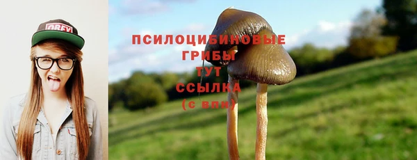 кристаллы Козельск