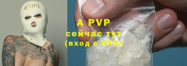 гидра Козловка