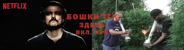 прущие грибы Кодинск