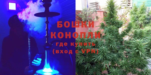 гидра Козловка