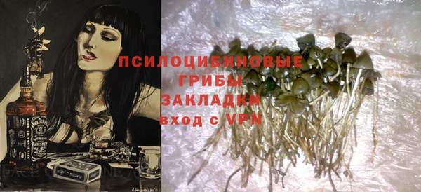гидра Козловка