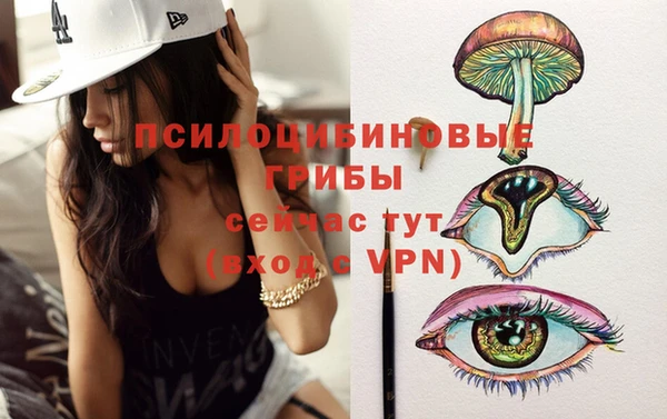 прущие грибы Кодинск