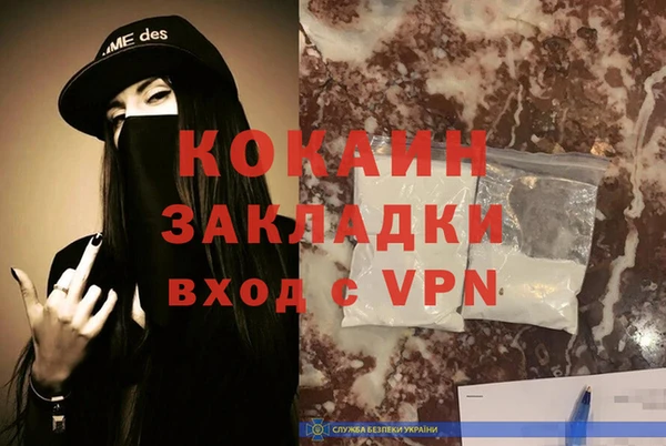 прущие грибы Кодинск