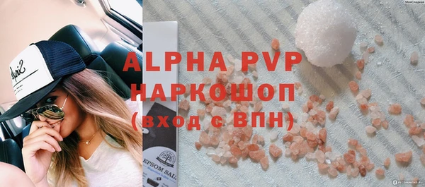прущие грибы Кодинск