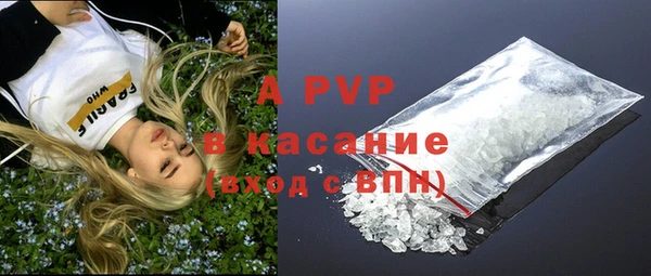 гидра Козловка