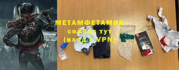прущие грибы Кодинск