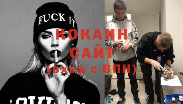 гидра Козловка