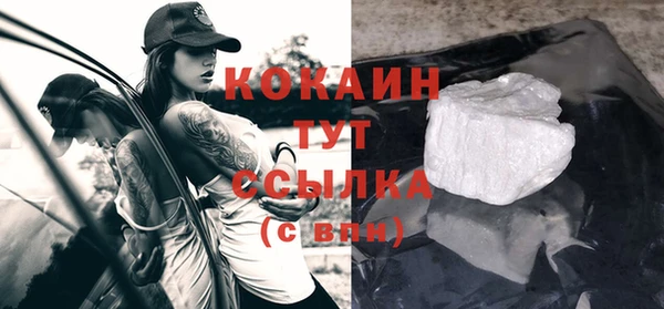 гидра Козловка