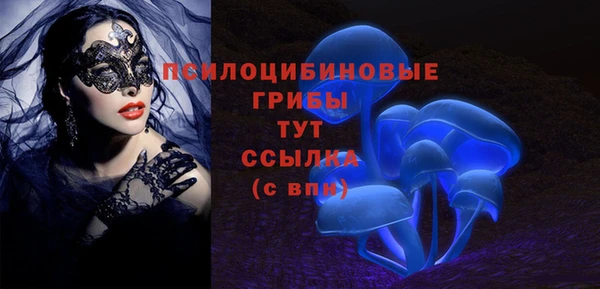 гидра Козловка