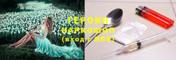 прущие грибы Кодинск