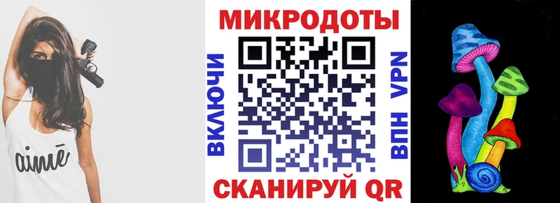 Купить  Зуевка  Галлюциногенные грибы Psilocybe 